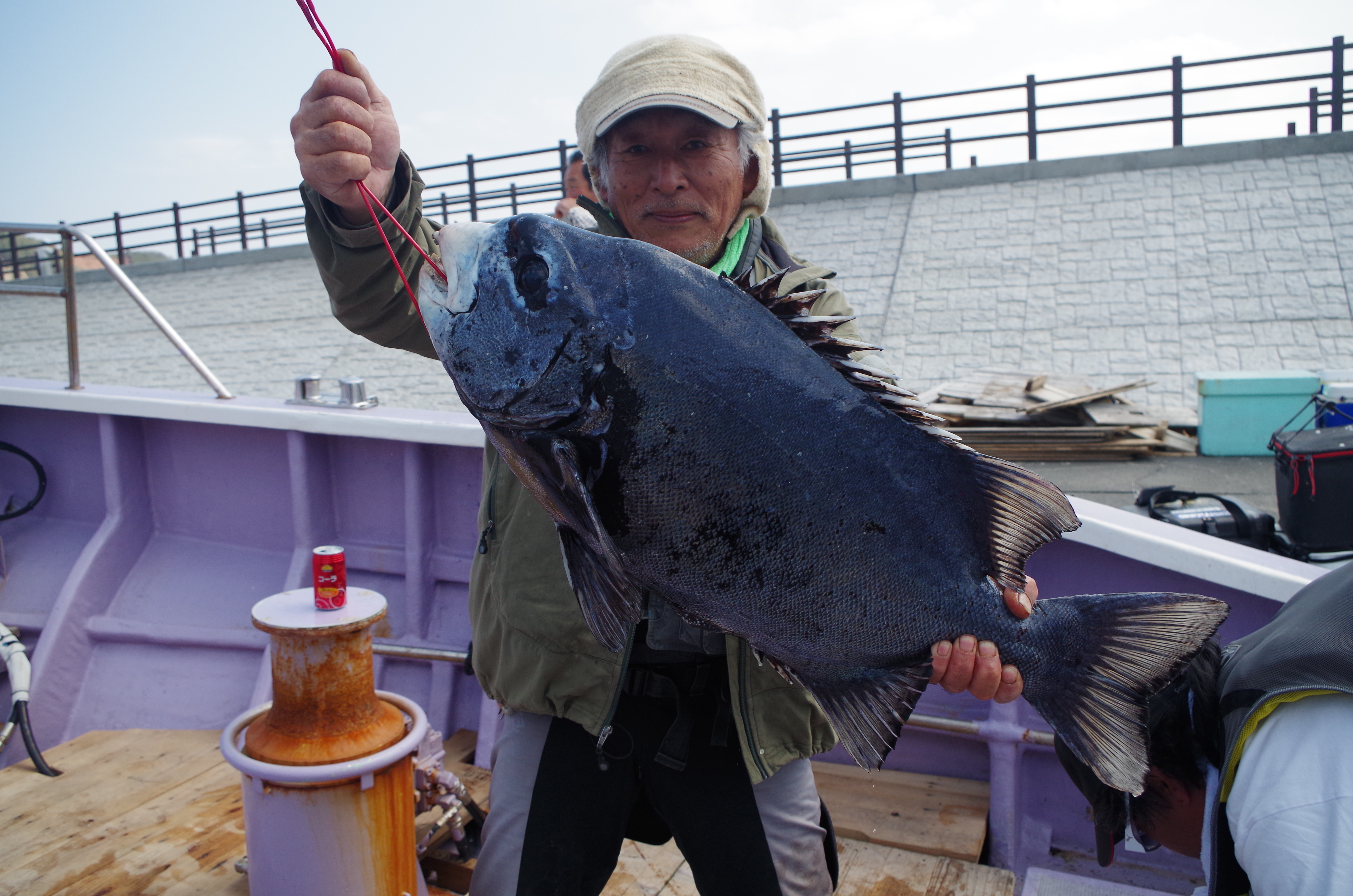 イシガキダイ（クチジロ）の釣果！: ラ・メーフからの手紙
